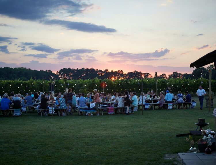 backyard party